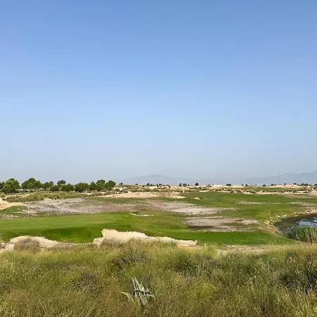 Amazing In * Torrevieja