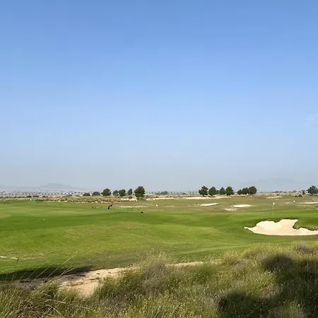 Amazing In Apartment