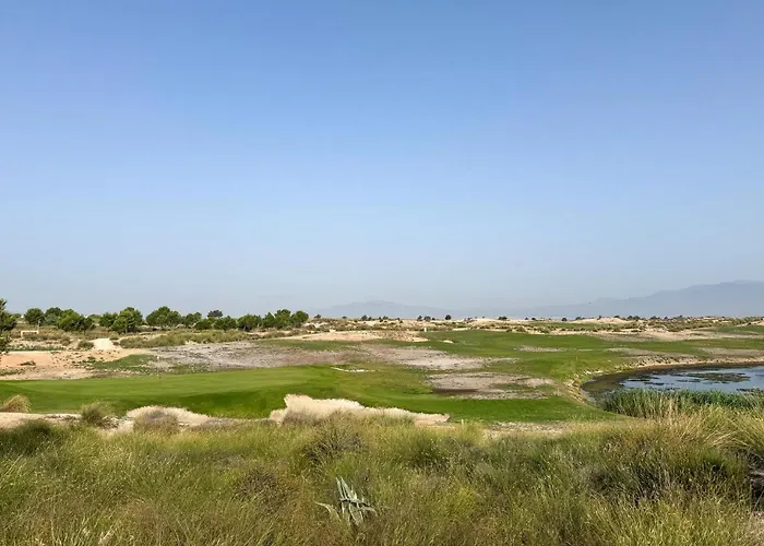 Amazing In * Torrevieja